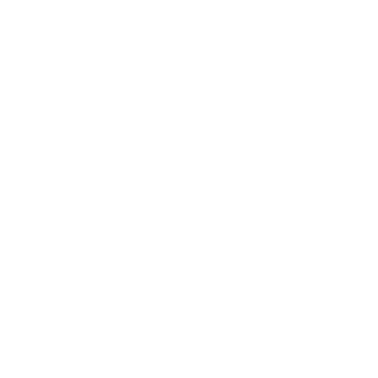 Blauer Tactical Systems